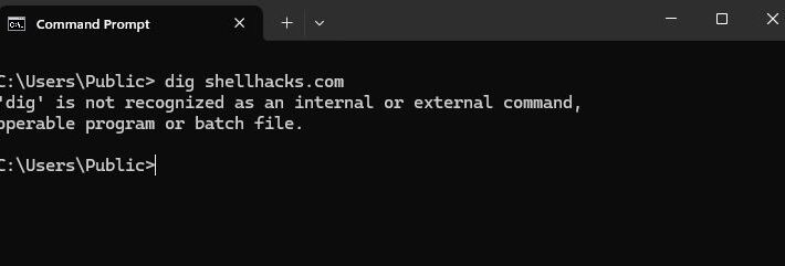 Windows Command Prompt returns the error: "'dig' is not recognized as an internal or external command, operable program or batch file"